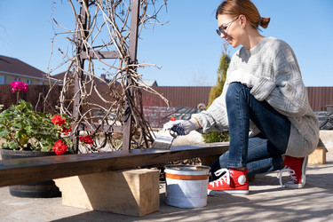 Similar image 21869710