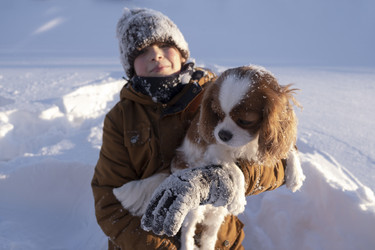 Similar image 21869733