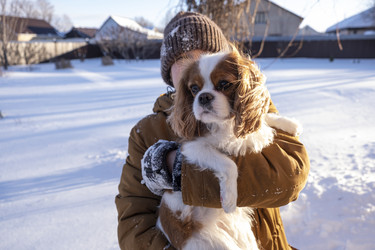 Similar image 21869734