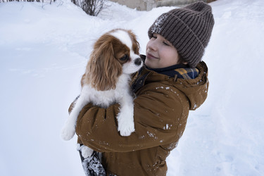 Similar image 21869746