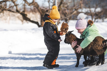 Similar image 21857394