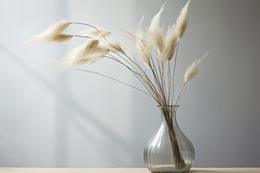 Similar image 21869512