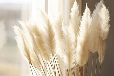 Similar image 21869517