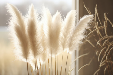 Similar image 21869520