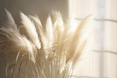 Similar image 21869521