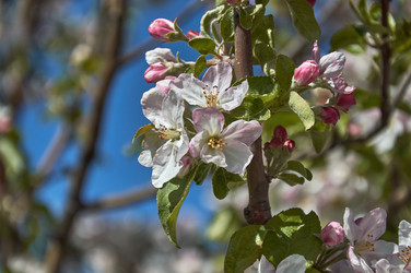 Similar image 21857580