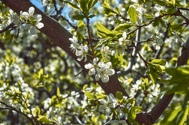 Similar image 21857582