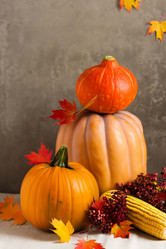 Similar image 21877652