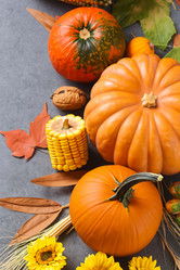 Similar image 21877655