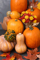 Similar image 21877657