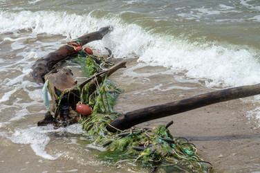 Similar image 21857395