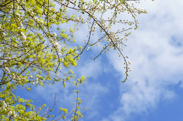 Similar image 21857397