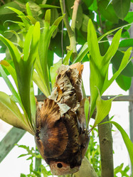 Similar image 21872632