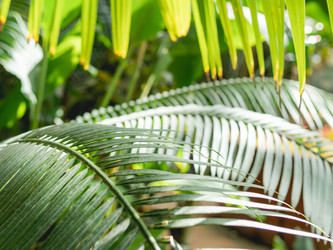 Similar image 21872633