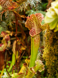 Similar image 21872634