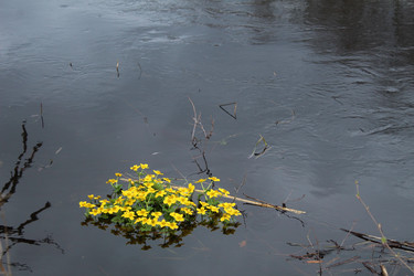 Similar image 21865981