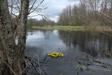 Similar image 21865982