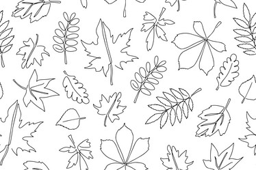 Similar image 21857185