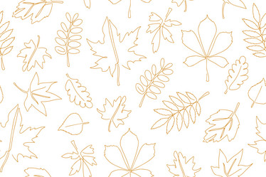 Similar image 21857187