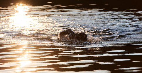 Similar image 21871130