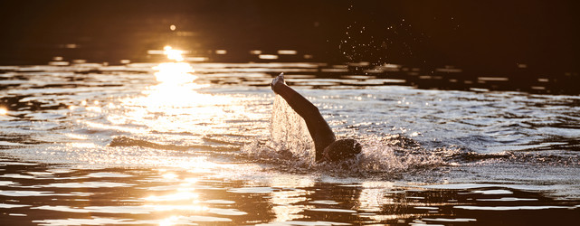 Similar image 21869951