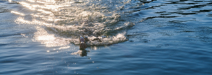 Similar image 21871519