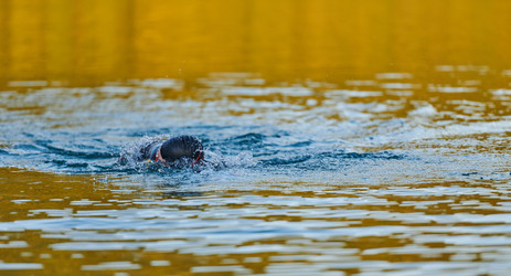 Similar image 21867897