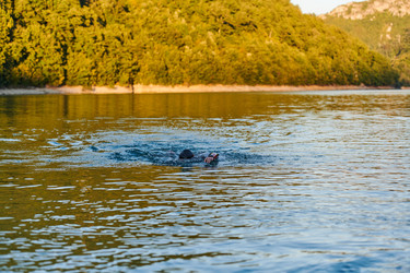 Similar image 21870768