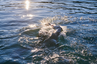 Similar image 21871185