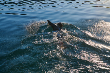 Similar image 21870044