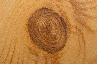 Similar image 21856691