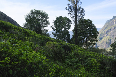 Similar image 21869528