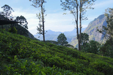 Similar image 21869530