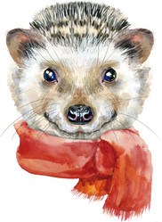 Similar image 21867029