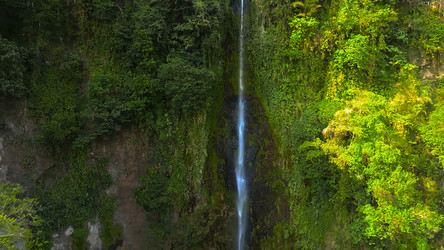 Similar image 21871731