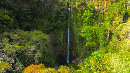 Similar image 21871732