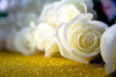 Similar image 21858329