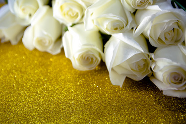 Similar image 21858330