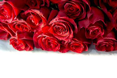 Similar image 21858334