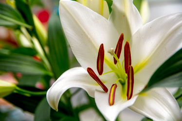 Similar image 21858340