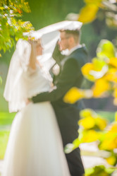 Similar image 21858341