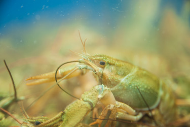 Similar image 21858347