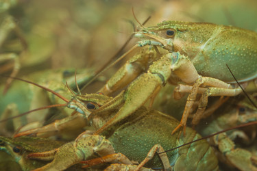 Similar image 21858348