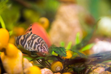 Similar image 21858589