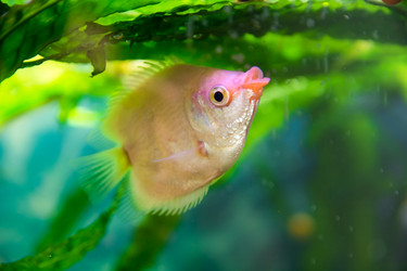 Similar image 21858590