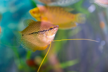 Similar image 21858591