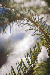 Similar image 21858595