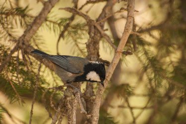 Similar image 21858599