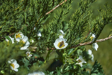 Similar image 21857585