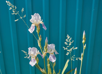 Similar image 21857587